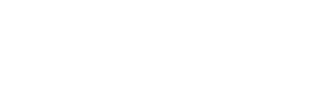 Neurospector