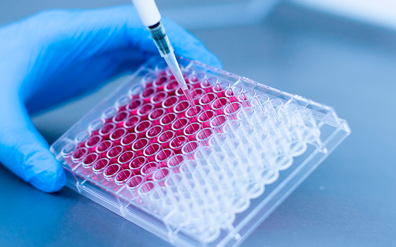 Technology Technology