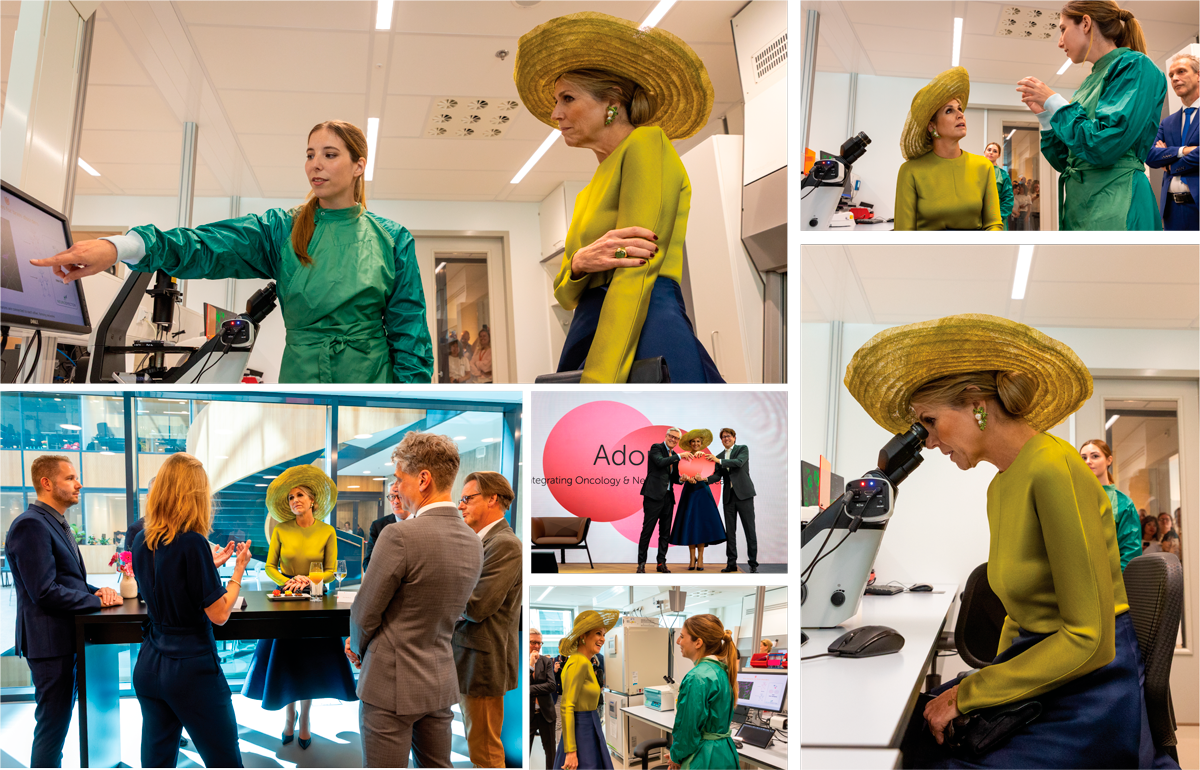 Maxima bij neurospector