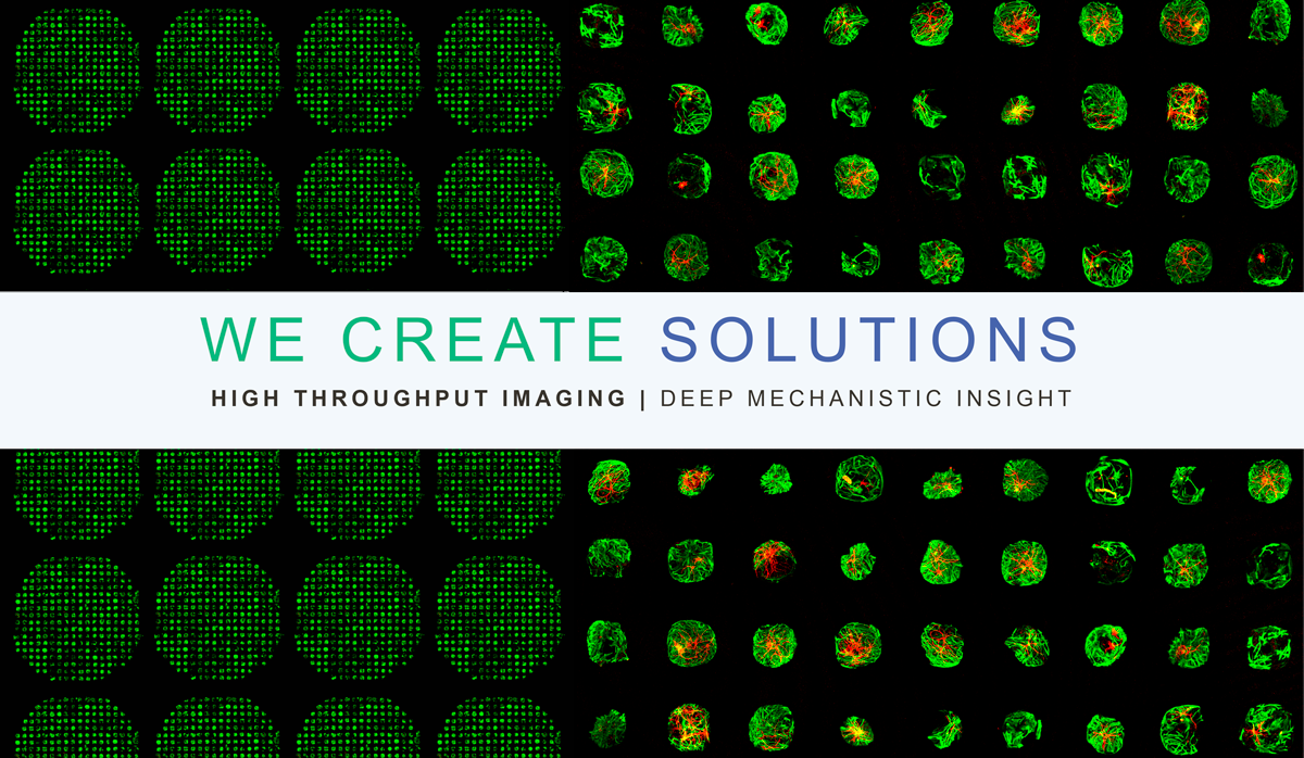 CRO solutions ineuron