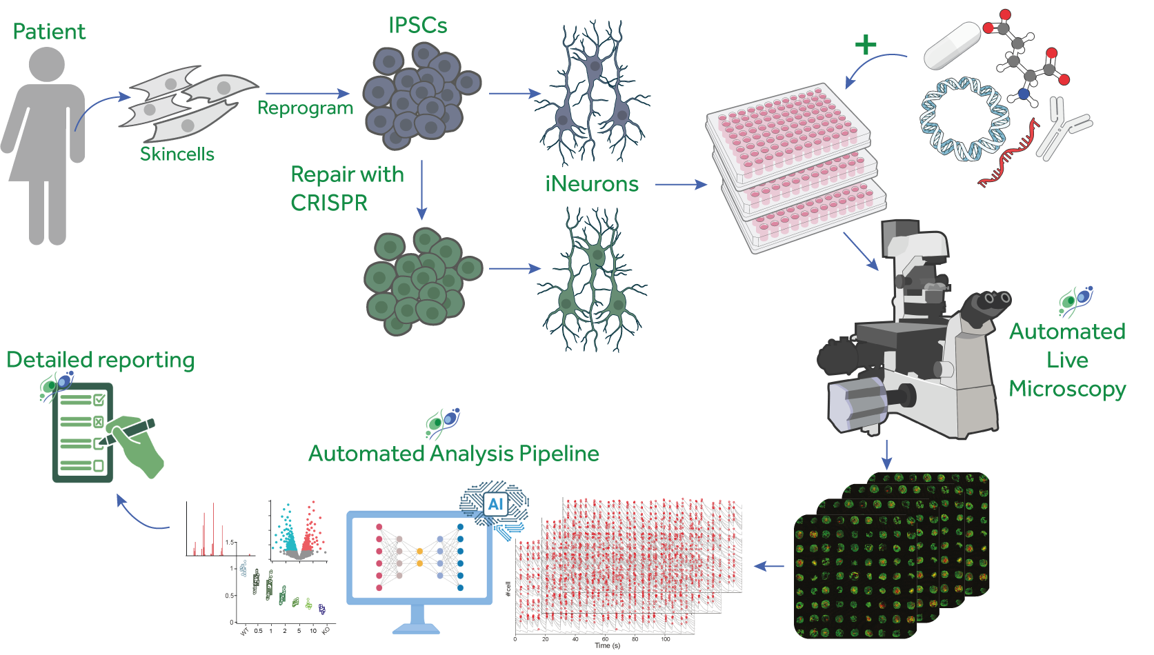 Multidimensional platform Human Neuron Models